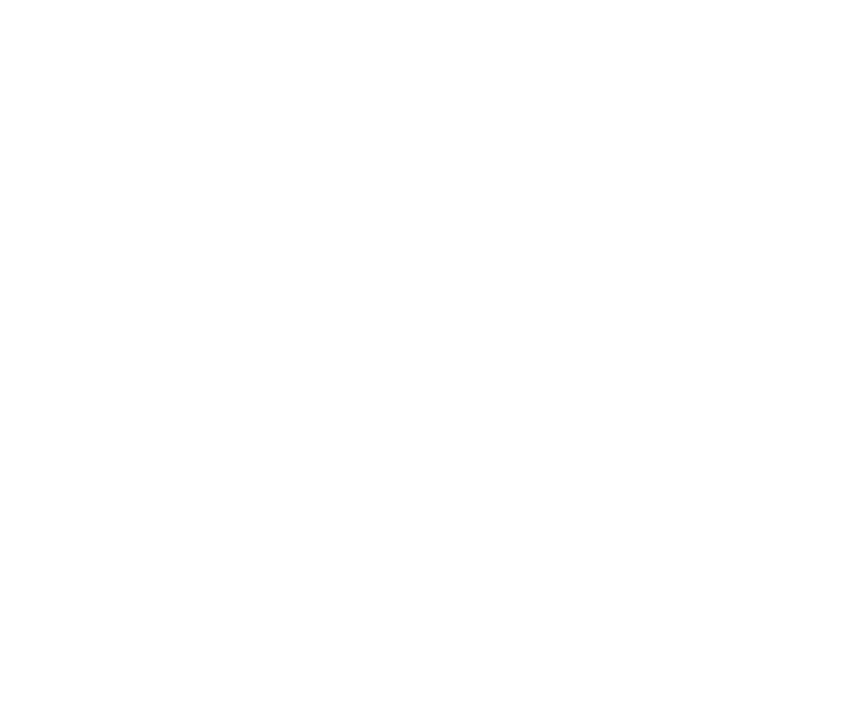 Logo Flom Hotel Firenze bianco